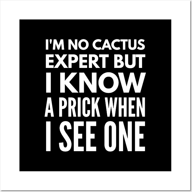 I'm No Cactus Expert But I Know A Prick When I See One - Funny Sayings Wall Art by Textee Store